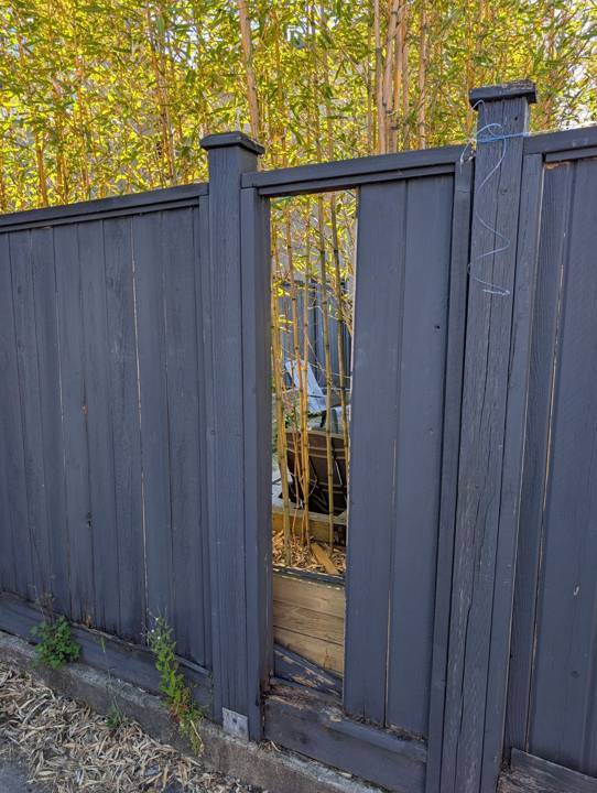 Fence board replacement, before